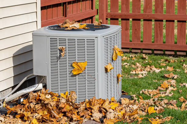 Best HVAC air duct cleaning  in Alton, TX